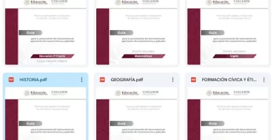 ¿Cómo descargar las guías de estudio USICAMM? | PDF